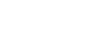 ICS Vertex