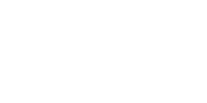 Transsmart